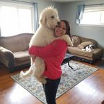 Tami Carver Huston - @carvertami - Instagram