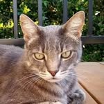 The Cat Farmers - @tamichase - Instagram