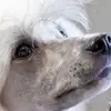 tamicollier1 - @tamicollier1 - TikTok