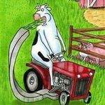 Tami Collins - @moocow52 - Instagram