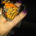 Tammy Collins - Facebook