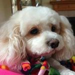Tami Conner - @connertami - Instagram