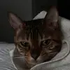tam - @tamia.corbin - TikTok