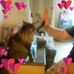Tammy Corcoran - Facebook