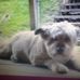 Tammy Corcoran - Facebook