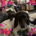 Tamara Hutmacher Cornelius - @lifeat51 - Instagram
