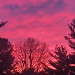 Tammy Cornell - Facebook