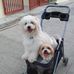 Tami  Cotton - Facebook