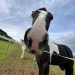Tami Cross - @ginsta_ram - Instagram