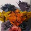 tamicross55 - @tamicross55 - TikTok