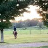 Tammi Cross - @tammi.cross - TikTok