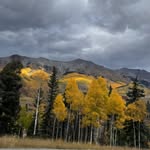 Tami Crowder - @tamicrowder - Instagram