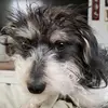 tamicrowder - @elliebellesmom - TikTok