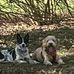 Tami Crowe - Facebook