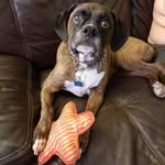 Tami Culver - @tami.culver.33 - Instagram