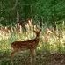 Tami Culver - Facebook