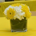 Tami Cunningham - @cunny_eventsjm - Instagram