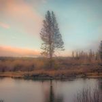 Tami Cunningham-Johnson - @tamila67 - Instagram
