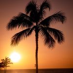 Tami Cutler Photography - @tlc.p52 - Instagram
