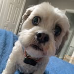 Tami Cyr - @tcyr15 - Instagram