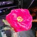 Tami Dale - Facebook