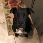 Tami Dalley - @tdalley4 - Instagram
