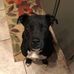 Tami Dalley - Facebook