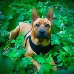 Tami DeVries - @tami.devries.77 - Instagram