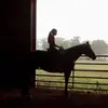 TamiDewey - @tamidewey - TikTok