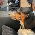 Tammy Dewey-Rupke - @tammyrupke - Instagram