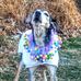 Tamie DeWitt - Facebook