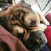 Tami Dolan - Facebook