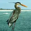 tamievans393 - @tamievans393 - TikTok