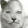 tamievans487 - @tamievans487 - TikTok