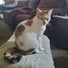 Tammy Farley - @tammy.farley - TikTok