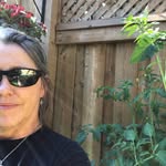 Tami Farrelly - @tamifarrelly - Instagram