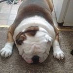 Tami Ferguson - @tami.ferguson.5 - Instagram