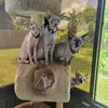 tamiflowers6 - @tamiflowers6 - TikTok