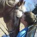 Tami Forbes - Facebook