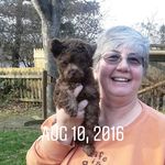 tami forbes - @forbestami - Instagram