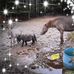 Tammy Forbes - Facebook