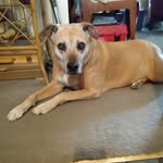 Tami Christy Ford - @tamiford62 - Instagram