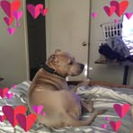 Tami Franklin - Facebook