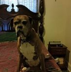 Tammy Fulton - Facebook