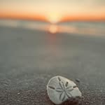 Tami Gregory - @tamtamgregory - Instagram