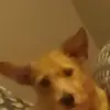 tamigregory7 - @tamigregory7 - TikTok
