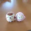 TamiGregory - @watsioiipuc - TikTok