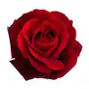 Tami Griffith - @tami.griffith4 - TikTok