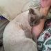 Tammy Gussman - Facebook