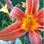 Tami Grubb - @tami.grubb - Instagram